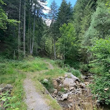 Chalet D'appartement Avec Grande Terrasse Daire