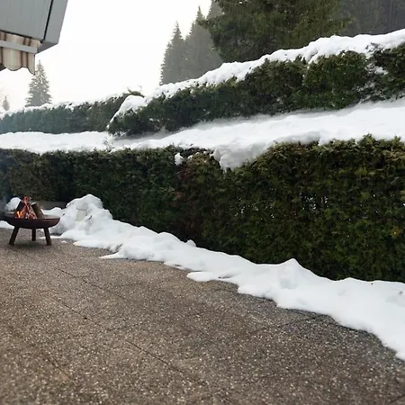 Daire Chalet D'appartement Avec Grande Terrasse